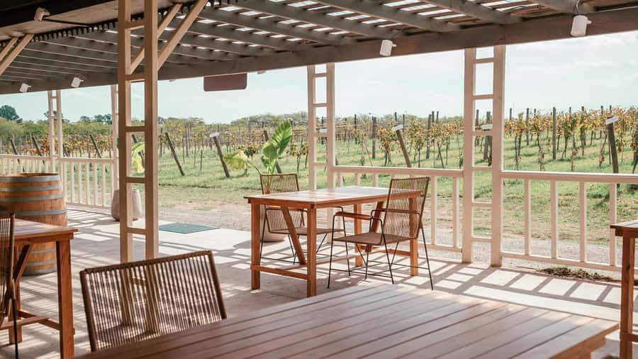 Buenos Aires: Wine Tasting and Lunch at Bodega Gamboa - The tasting that pairs wines with the way you actually taste