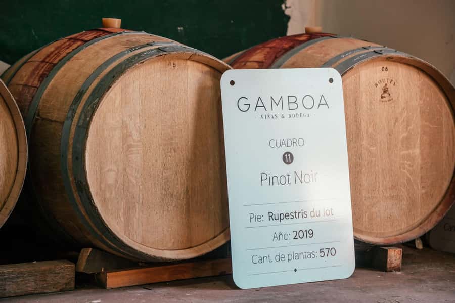 Buenos Aires: Wine Tasting and Lunch at Bodega Gamboa - Lunch at the winery: multi-course comfort with wines on the table