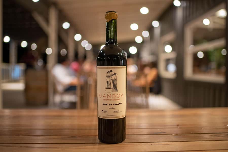 Buenos Aires: Wine Tasting and Lunch at Bodega Gamboa - The real countryside feel: why Campana is a smart choice near Buenos Aires