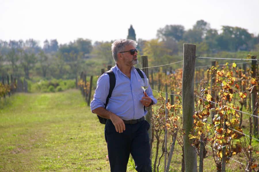 Buenos Aires: Wine Tasting and Lunch at Bodega Gamboa - Should you book Bodega Gamboa for a Buenos Aires wine day?
