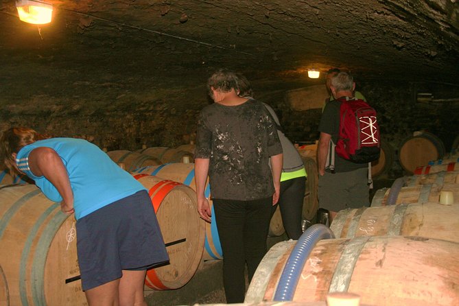 Burgundy Bike Tour with Wine Tasting from Beaune - Key Things I’d Prioritize Before You Go