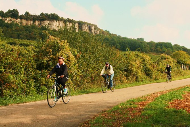 Burgundy Bike Tour with Wine Tasting from Beaune - Getting Started at Active Tours in Beaune