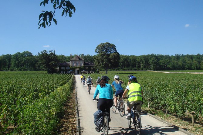 Burgundy Bike Tour with Wine Tasting from Beaune - Puligny-Montrachet Lunch Stop: Fuel for the Afternoon