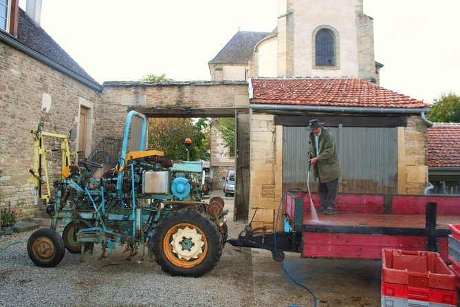 Burgundy Bike Tour with Wine Tasting from Beaune - Final Winery Stop Near Pommard, Volnay, or Meursault