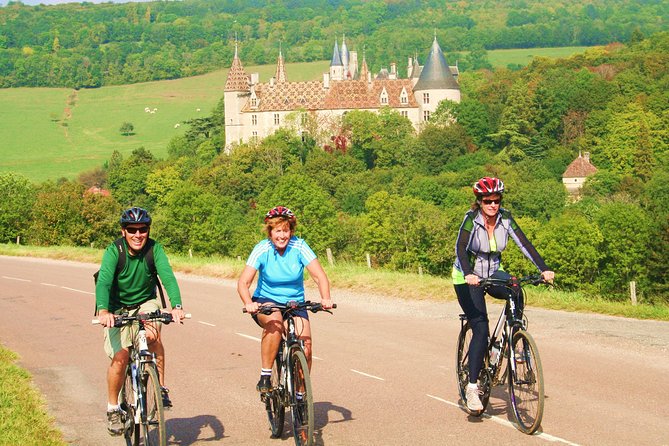 Burgundy Bike Tour with Wine Tasting from Beaune - What to Bring (and What to Ask) for a Smooth Day