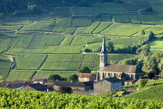 Burgundy Wine Tasting Small-Group Tour in Chablis from Paris - Leaving Paris Early: The Payoff Starts at 7:00 AM