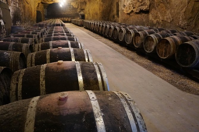 Burgundy Wine Tasting Small-Group Tour in Chablis from Paris - Domaine PL & JF Bersan: A Guided Finish with 6+ Tastings
