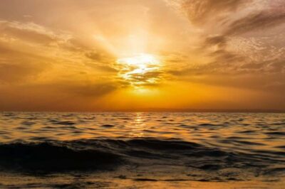 Calpe: Sunset Cruise with Sparkling Wine - Meeting at Puerto Calpe and finding the Mundo Marino Catamaran