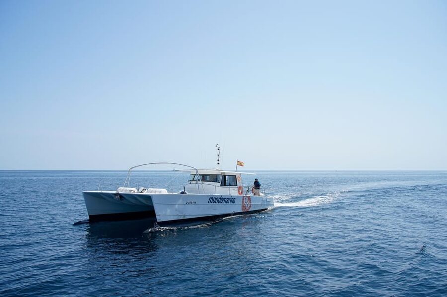 Calpe: Sunset Cruise with Sparkling Wine - Should you book the Calpe Sunset Cruise with Sparkling Wine?