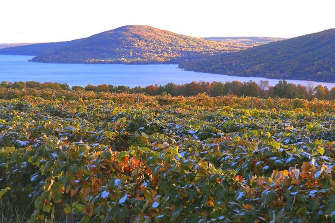 Canandaigua Wine Trail Experience - Price and Value: Is $245.03 Reasonable?