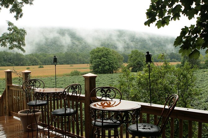 Canandaigua Wine Trail Experience - Stop 1: Arbor Hill Grapery & Winery for a Sweet Start