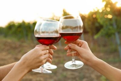 Canandaigua Wine Trail Experience - Small Group Format: Why Max-12 Matters on a Tasting Day