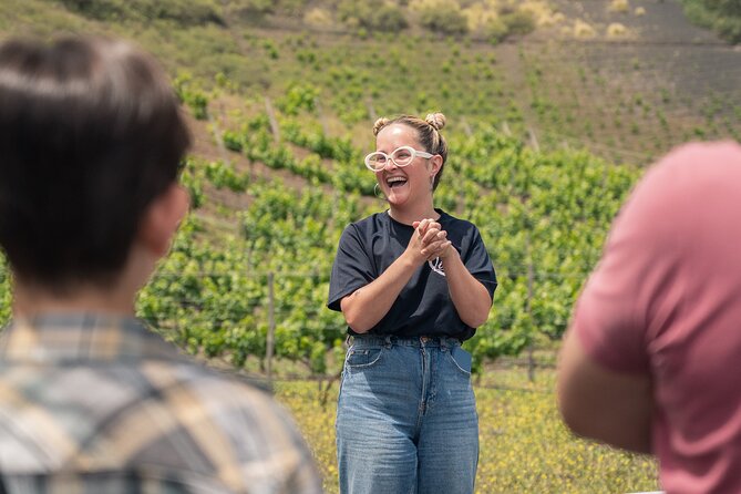 Canarian Wine Experience at Bodega los Lirios - Where Bodega Los Lirios Fits Into a Gran Canaria Day