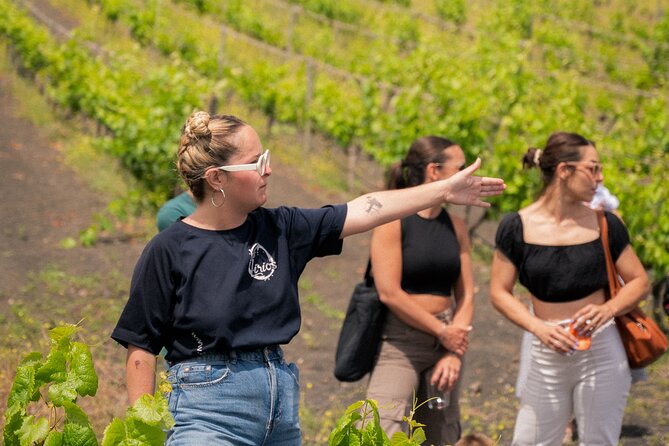 Canarian Wine Experience at Bodega los Lirios - The Tasting: Llantén Red Wine and Local Delicacies