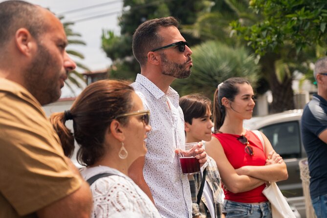 Canarian Wine Experience at Bodega los Lirios - Price and Value: How $19.31 Makes Sense Here