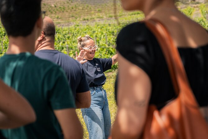 Canarian Wine Experience at Bodega los Lirios - What’s Included (and What Isn’t) Before You Go