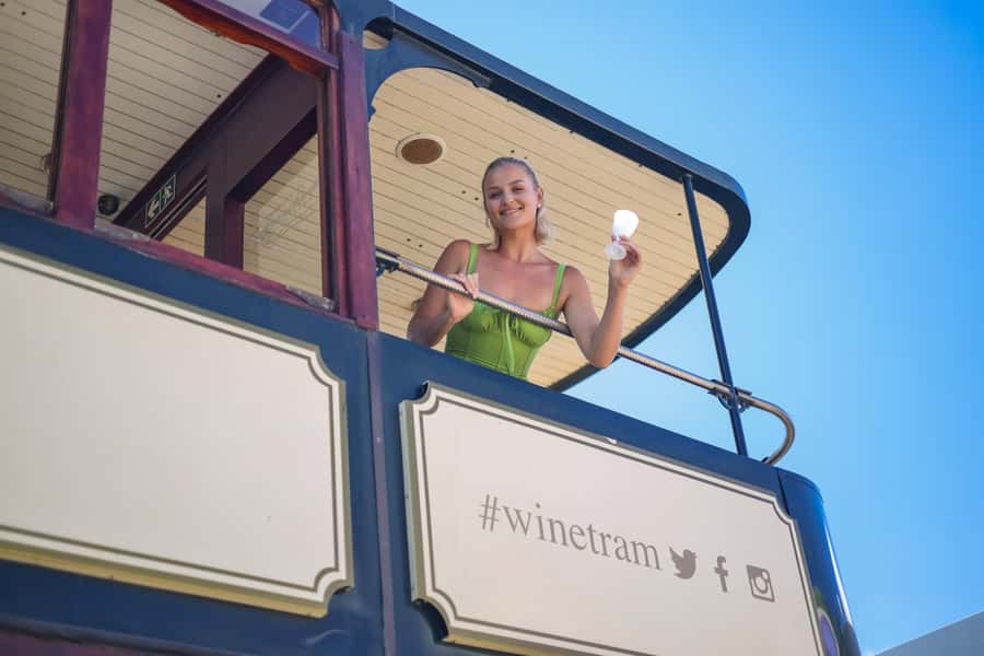 Cape Town: Full-Day Wine Tasting Tour with Wine Tram - Getting From Cape Town Into Wine Country Without Losing the Day