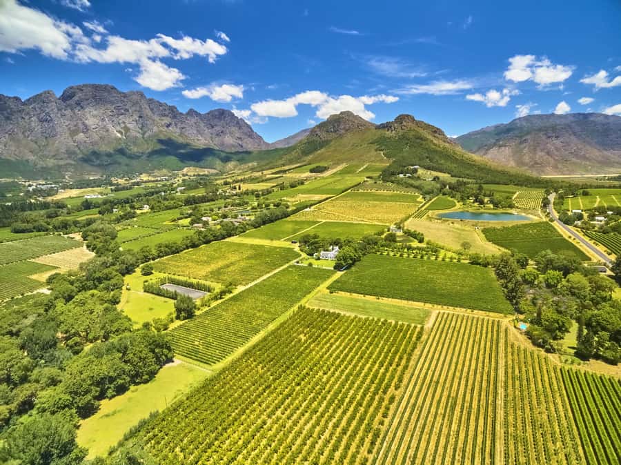Cape Town: Full-Day Wine Tasting Tour with Wine Tram - The Mandela Prison Photo Stop: A Quick History Moment With No Detour Energy