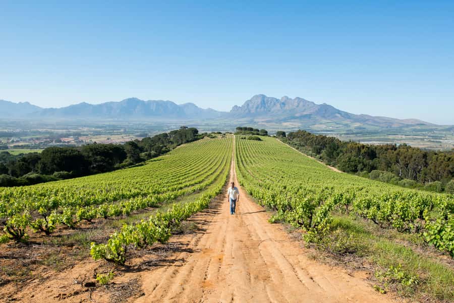 Cape Town: Full-Day Winelands Tour with Wine Tastings & Food - A Smooth 9-Hour Winelands Day from Cape Town