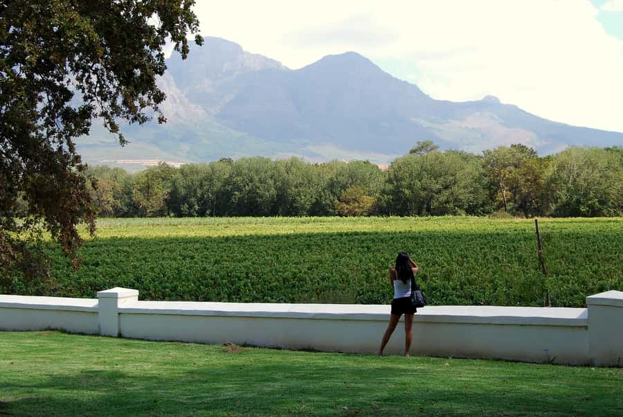 Cape Town: Full-Day Winelands Tour with Wine Tastings & Food - Pickup Windows and How Timing Really Feels