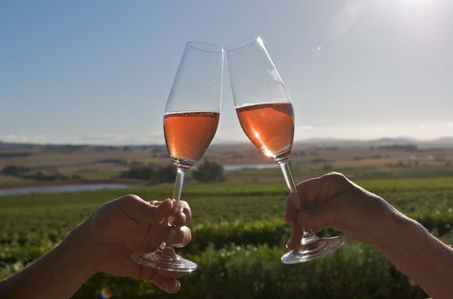 Cape Town: Full-Day Winelands Tour with Wine Tastings & Food - Wine Tastings That Actually Teach: Cap Classique, Ports, and Pairings