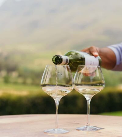Cape Town: Full-Day Winelands Tour with Wine Tastings & Food - Paarl, Franschhoek, and Stellenbosch: Three Regions, One Learning Curve