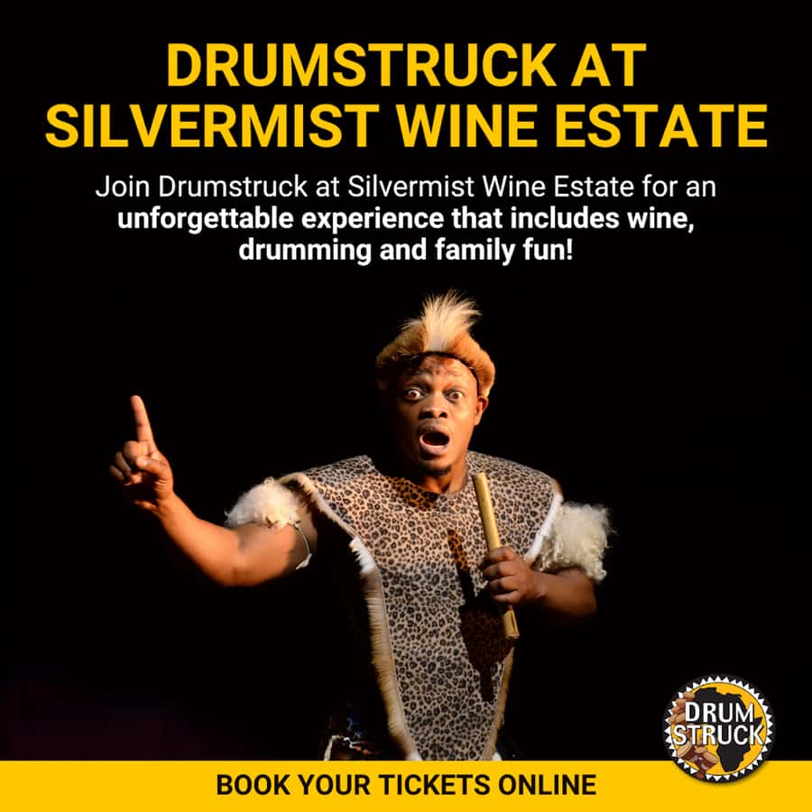 Cape Town: Silvermist Estate Wine Tasting & Drumstruck Show - Price and value: is $28 worth it?