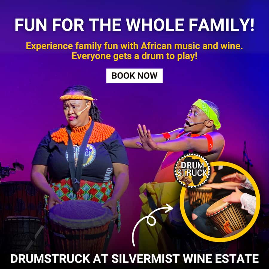 Cape Town: Silvermist Estate Wine Tasting & Drumstruck Show - Should you book this Silvermist Drumstruck experience?