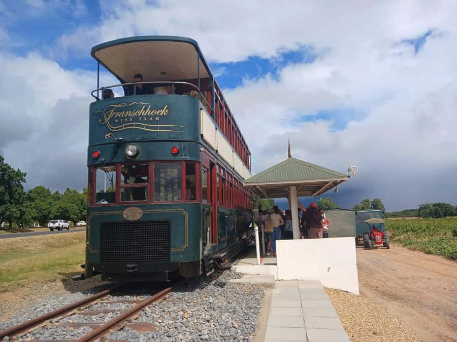 Cape Town: Stellenbosch, Franschhoek, Wine Tasting and Tram - Price and Logistics: Is $110 Good Value Here?