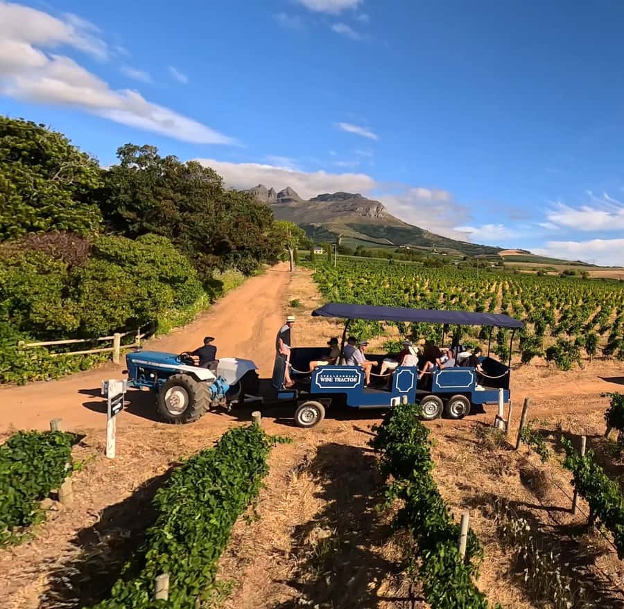 Cape Town: Stellenbosch Hop-On Hop-Off Tractor Transfer - Quick hits before you go