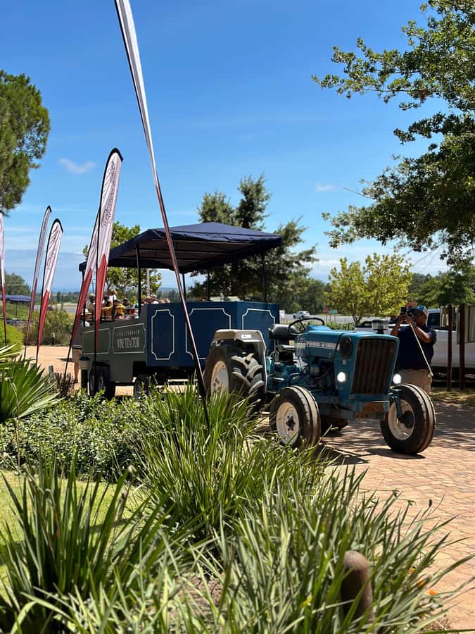 Cape Town: Stellenbosch Hop-On Hop-Off Tractor Transfer - Tractor in the Vineyards: Why This Feels Like a Wine Day, Not a Bus Tour