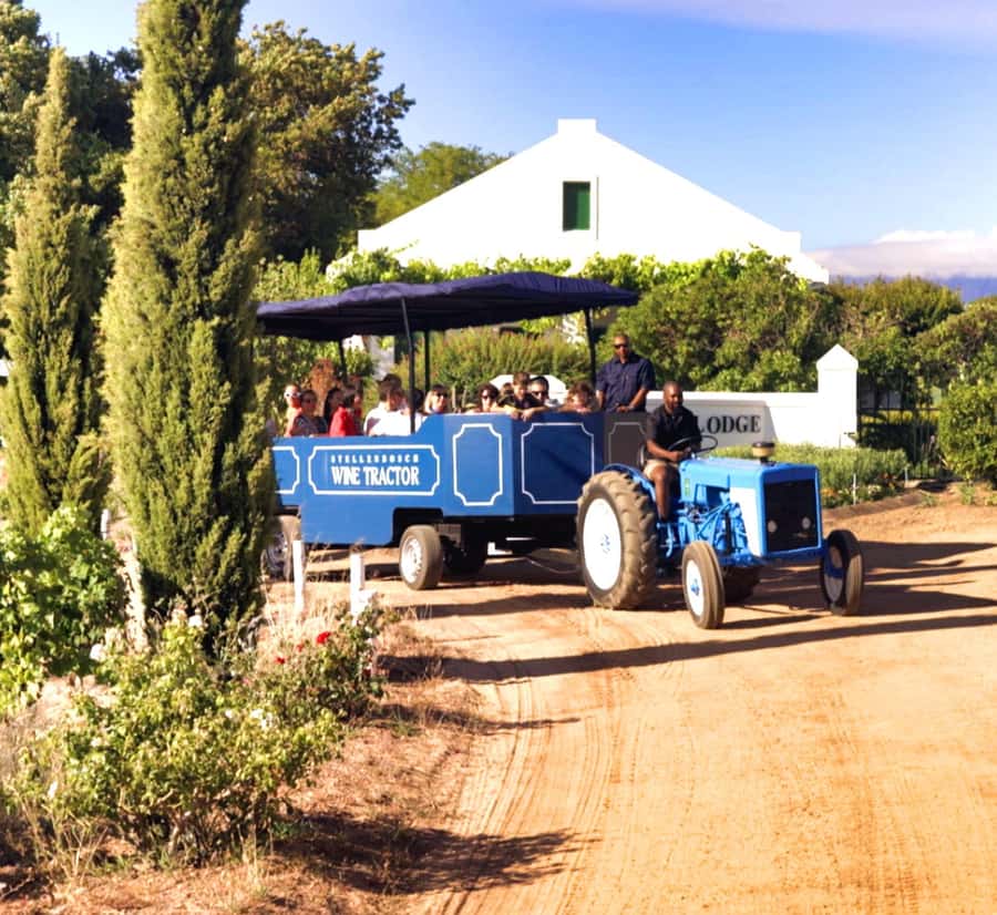 Cape Town: Stellenbosch Hop-On Hop-Off Tractor Transfer - Where You Start (Eikendal on the R44) and the Timing That Keeps the Day Smooth
