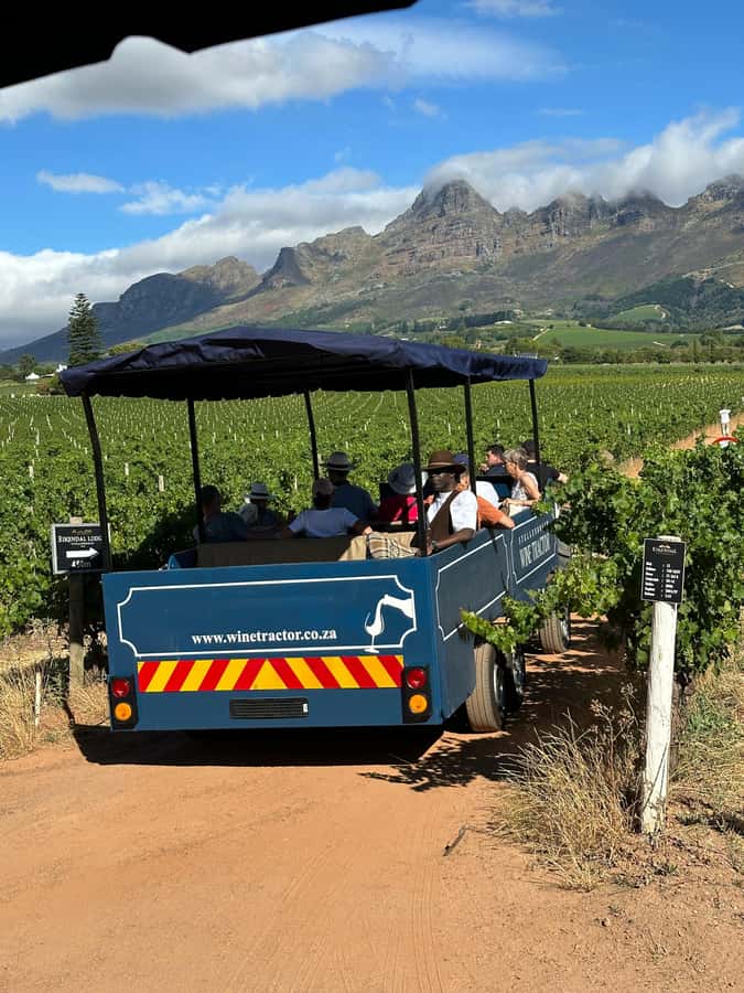 Cape Town: Stellenbosch Hop-On Hop-Off Tractor Transfer - How Hop-On Hop-Off Gives You Real Choice (Without Making It Chaotic)
