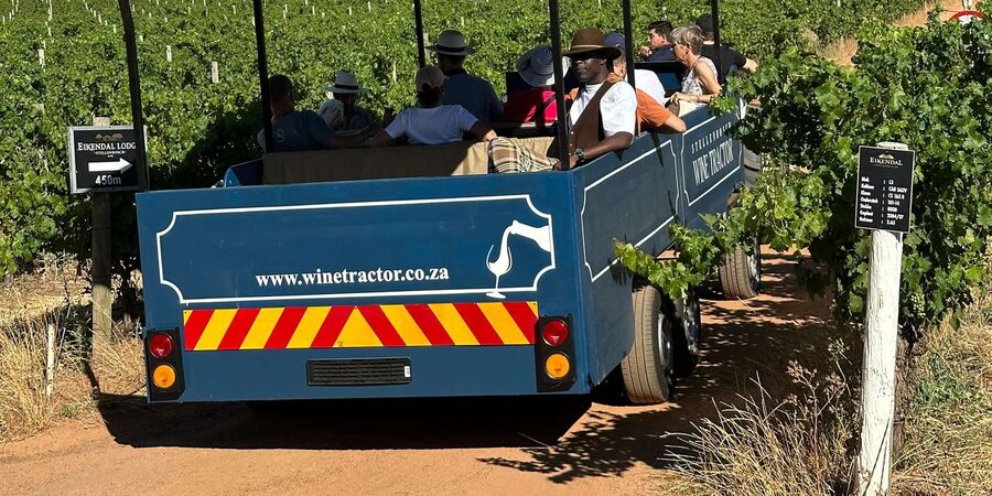 Cape Town: Stellenbosch Hop-On Hop-Off Tractor Transfer - Practical Tips I’d Actually Use: Sun, Hat, and Staying Inside the Schedule
