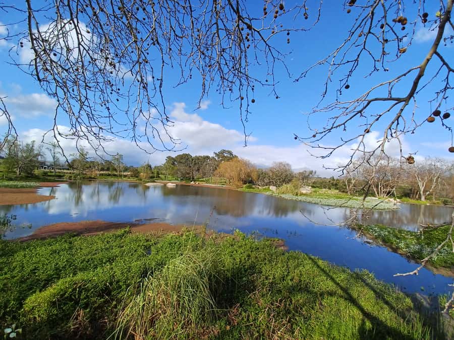 Cape Town: Stellenbosch Wine Half-Day Tour - Quick Highlights You’ll Feel Fast