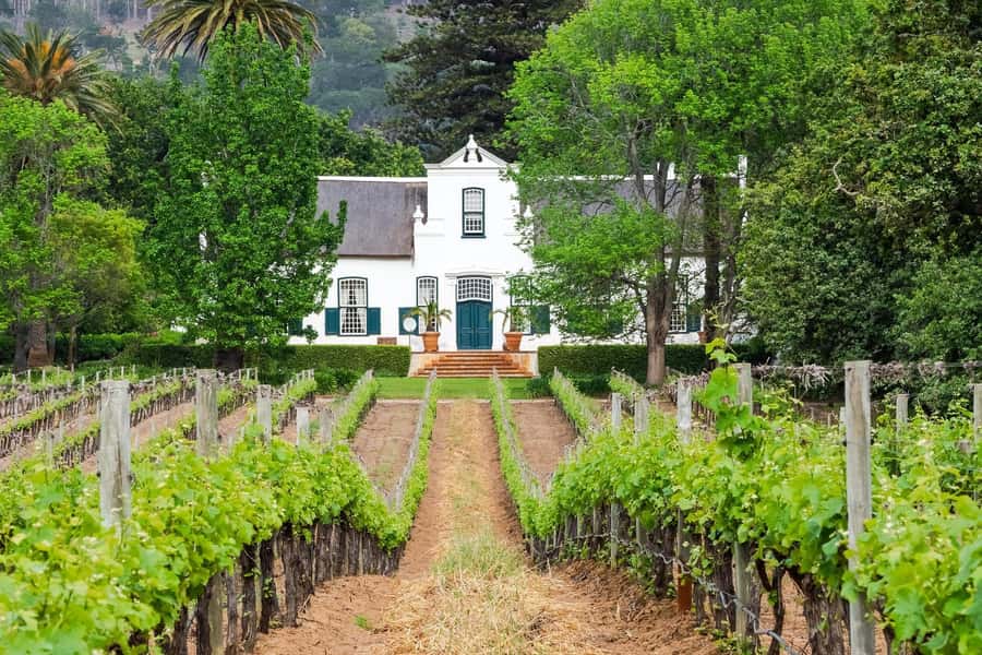 Cape Town: Stellenbosch Wine Half-Day Tour - Guides Make or Break It: The People Behind the Experience