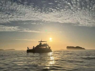 Cape Town: Sunset Champagne Cruise - Weather runs the show: Table Bay, Granger Bay, Clifton, and Robben Island
