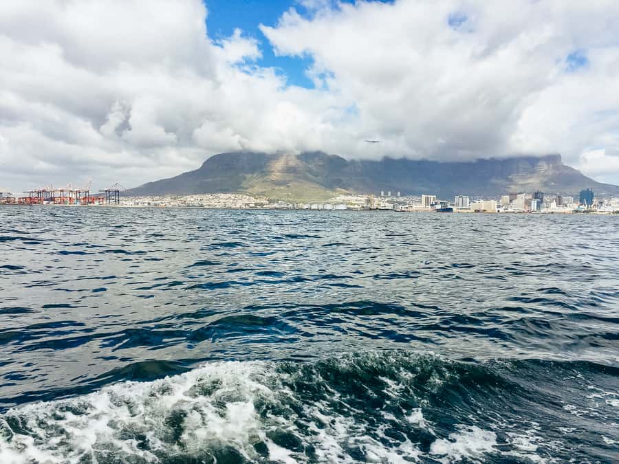 Cape Town: Sunset Champagne Cruise - The best seat strategy: timing, photos, and DJ-style energy