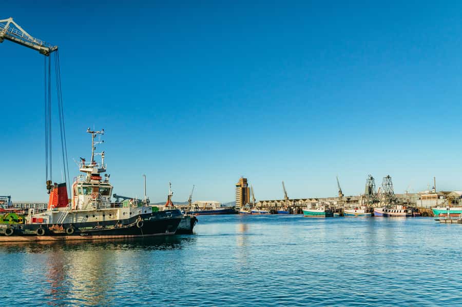 Cape Town: Sunset Champagne Cruise and 3-Course Dinner - Should you book the Cape Town Sunset Champagne Cruise and 3-Course Dinner?