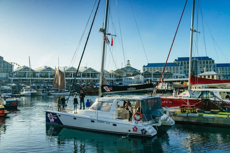 Cape Town: Sunset Champagne Cruise and 3-Course Dinner - Is it good value at $78 per person?