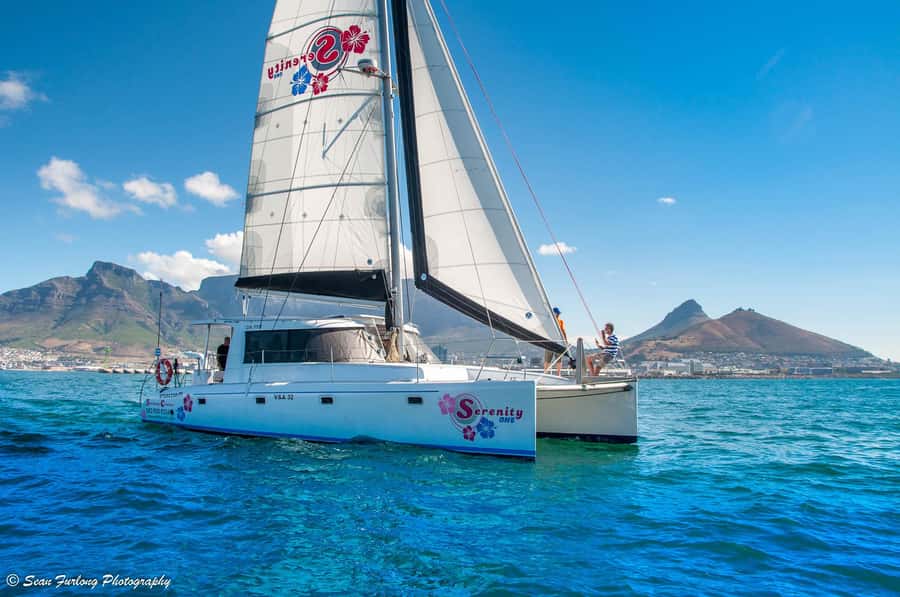 Cape Town: Sunset Champagne Cruise and 3-Course Dinner - Who should book this—and who might want a different plan
