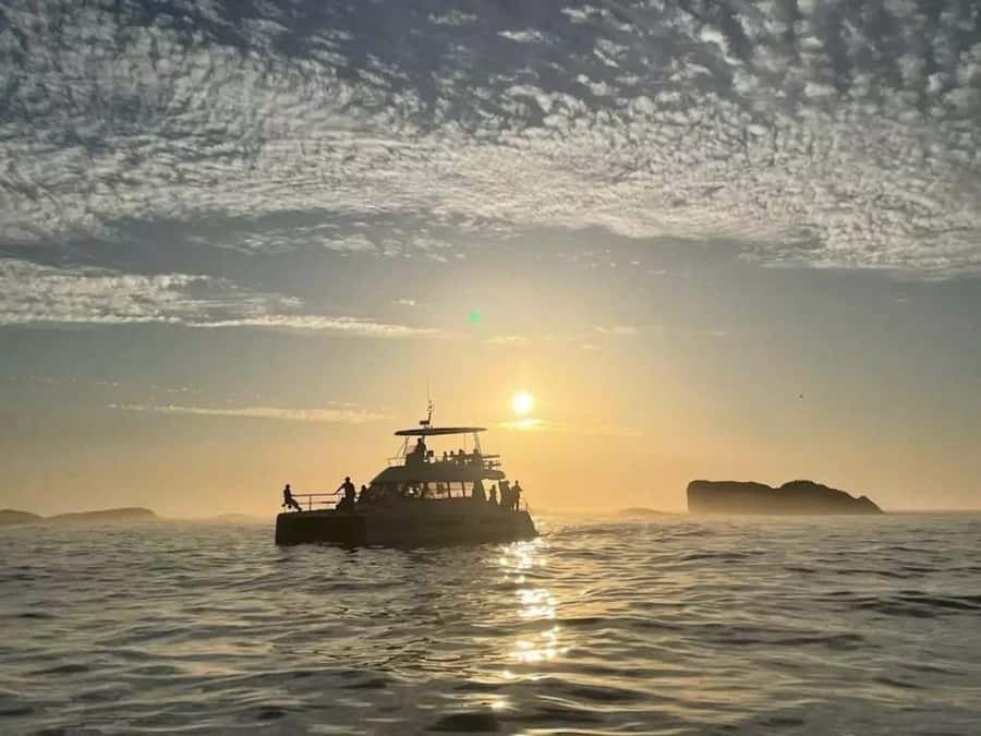 Cape Town: Sunset Champagne Cruise - Weather runs the show: Table Bay, Granger Bay, Clifton, and Robben Island