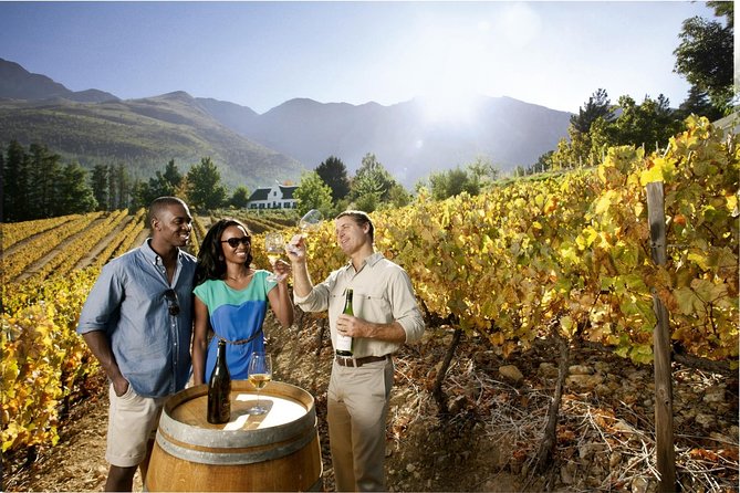 Cape Town Super Saver: Cape Point Tour plus Wine Tasting in Stellenbosch - Key things to know before you go