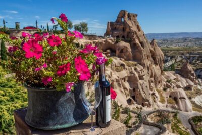 Cappadocia Half-Day Fairy Chimneys Guided Tour with Wine Tasting - The Real Comfort Play: Pickup, Small Group, and Pace