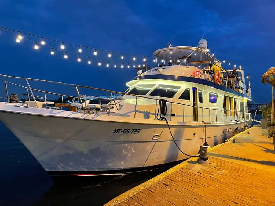 Cartagena: Cruise by the Bay with Dinner and Wine - Who This Cruise Is Perfect For (and Who Might Prefer Another Plan)