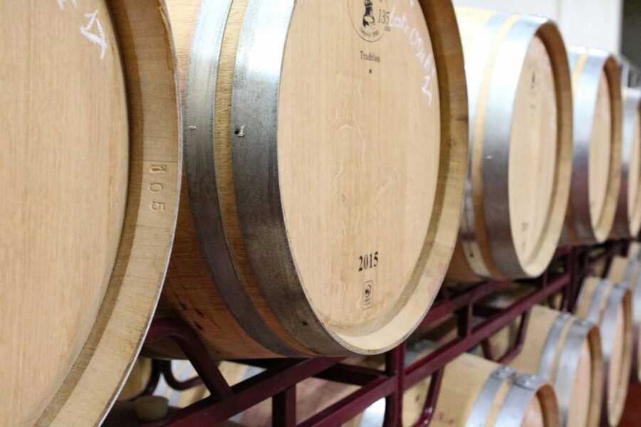 Carvoeiro/Portimão/Alvor: Wine Tour w/ Tasting, Tapas, Music - Tapas That Actually Match the Wine (And a Cook You’ll Want to Meet)