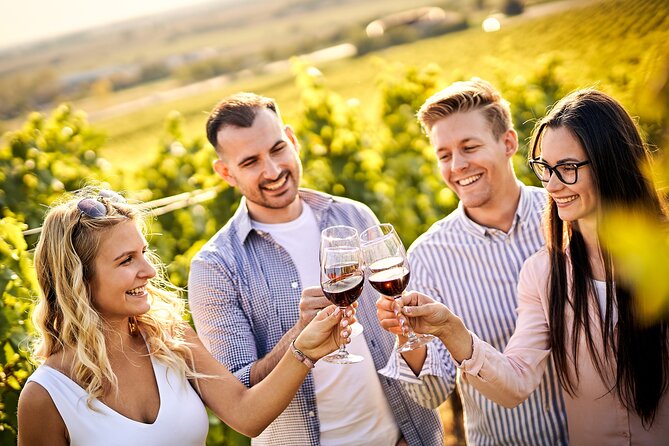 Casablanca world class wines, 4 vineyards & Tanino lunch stop - Key highlights