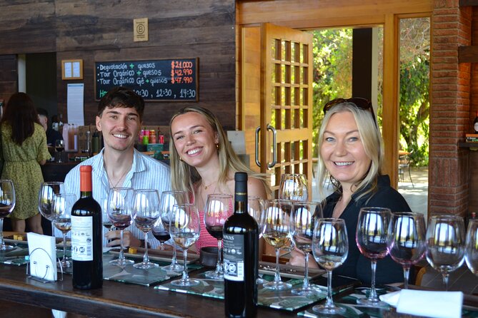 Casablanca world class wines, 4 vineyards & Tanino lunch stop - Morning route: hotel pickup and the Curacaví Valley setup