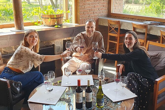 Casablanca world class wines, 4 vineyards & Tanino lunch stop - Tanino lunch at Casas del Bosque: where the day slows down