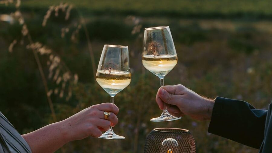 Castelsardo: visit a vineyard with wine tasting at sunset - A Vineyard Sunset Near Castelsardo That Actually Feels Relaxed